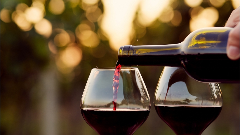 Pioggia di medaglie per i vini biologici italiani