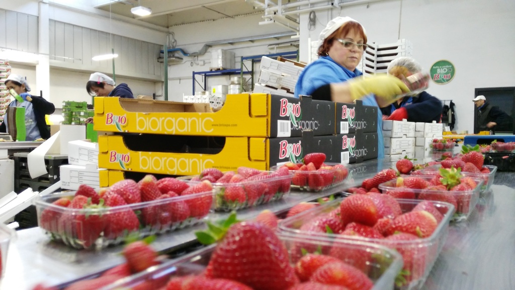 bio spa lavorazione prodotti bio