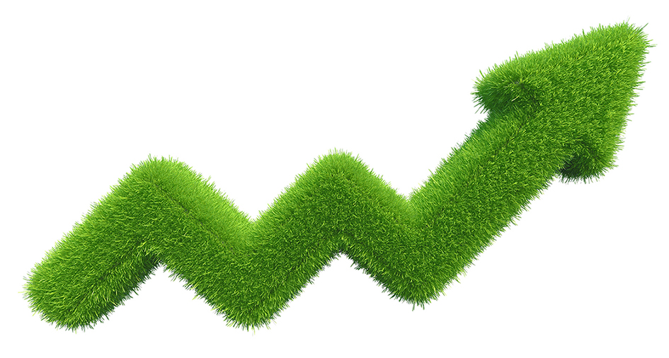 Mercato biologico, continua la crescita